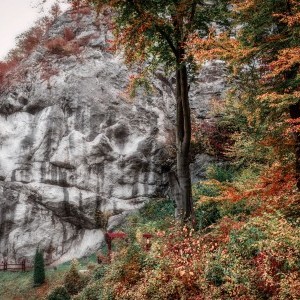 Őszi fotó, tájkép, színes erdő, komor szikla