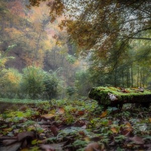 Őszi reggel, melankólikus hangulat - tájfotó - Lillafüred, Miskolc